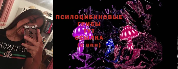 МДПВ Няндома