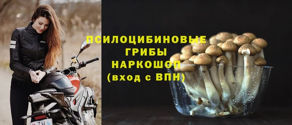 крисы Арсеньев