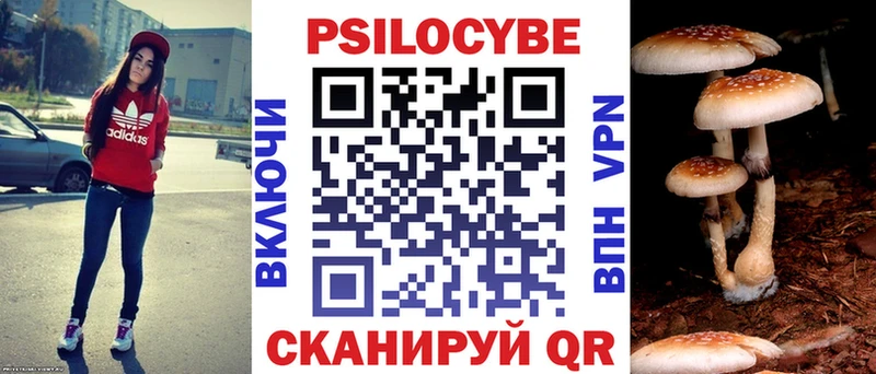 Псилоцибиновые грибы Psilocybine cubensis  Северо-Курильск 
